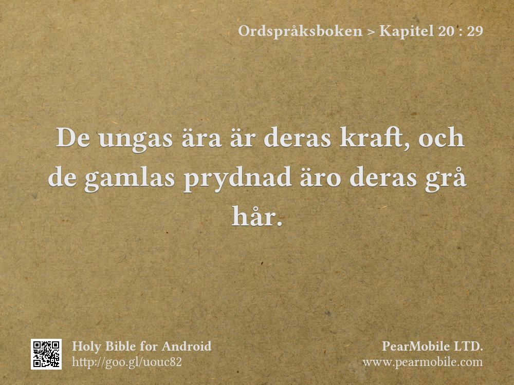 Ordspråksboken, Kapitel 20:29